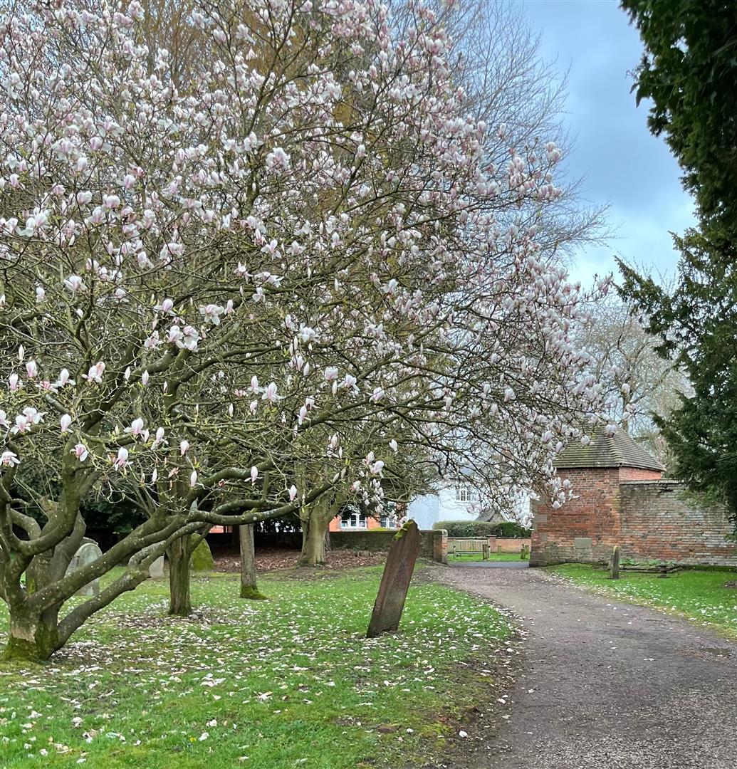 Bradford Lane, Belbroughton, Stourbridge